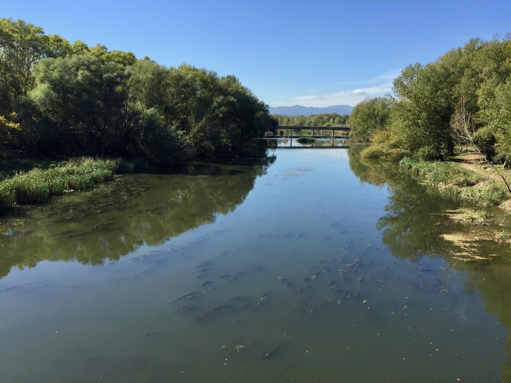 Piso Céntrico De 100 M2 Appartement *