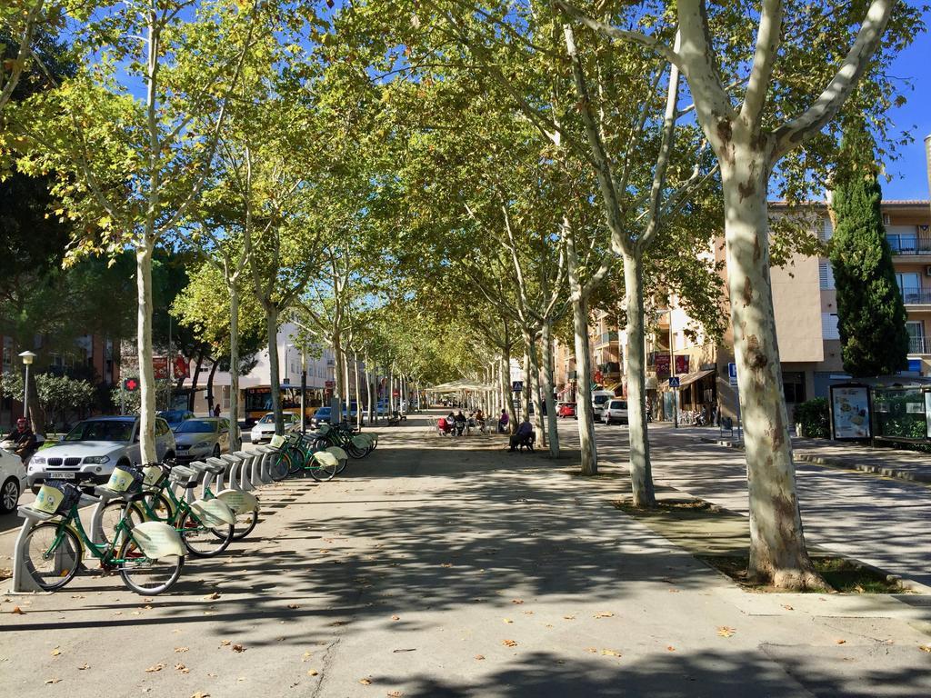 Appartement Piso Céntrico De 100 M2 Gerona